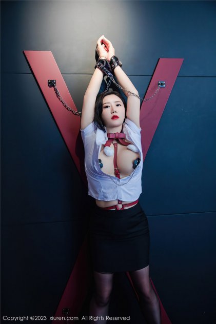 可以看的的的的的的的的的AV(2013)悬疑片高清海报