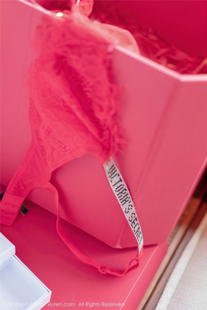 猫咪vip账号分享2021海报