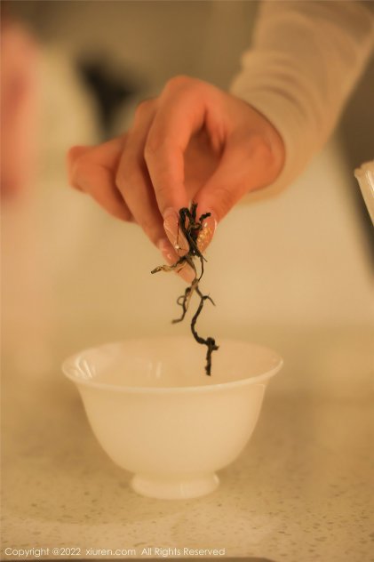 gif护士极品出处海报